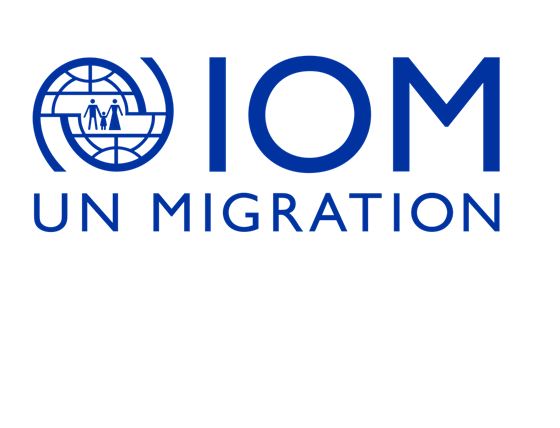 Diaspora Engagement in the TVET Sector